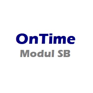 OnTime Modul Snowboard